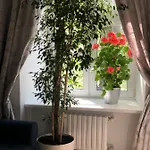 The Gardenapartments Appartement