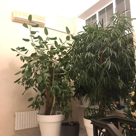 The Gardenapartments *