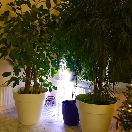 The Gardenapartments Apartment *
