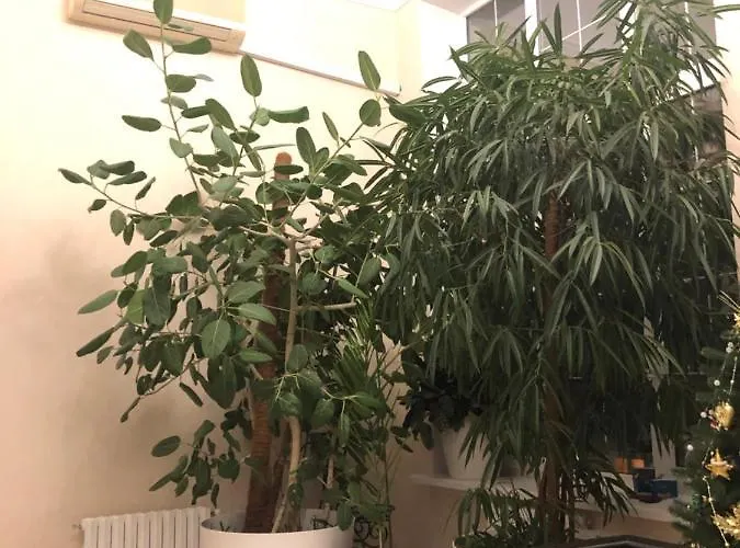 The Gardenapartments *