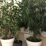 The Gardenapartments Odessa
