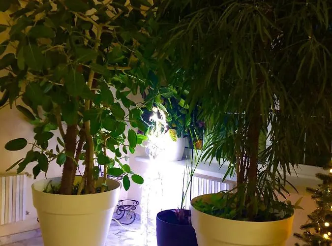 The Gardenapartments Apartment *